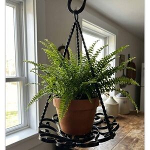 SOLD-Elegant Black Metal Hanging Planter with Lush Green Fern